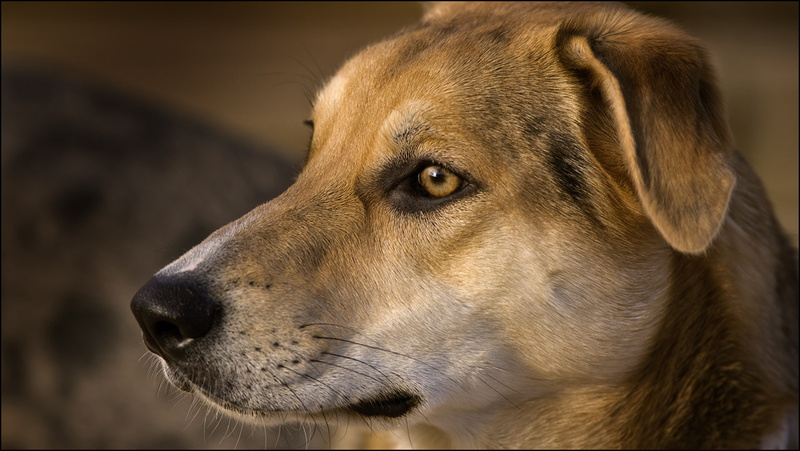 20110617024426-b1185aa3-me.jpg