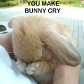 bunnycry