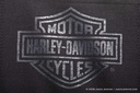 2009 0905-HarleyLogo339