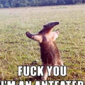 Fuck u I an anteater
