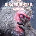 You-Are-Disappointing bongo