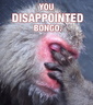 You-Are-Disappointing bongo
