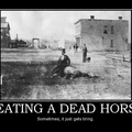 beating-a-dead-horse