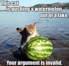 cat pushing watermelon argument inv