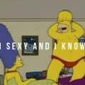 im sexy and i know it