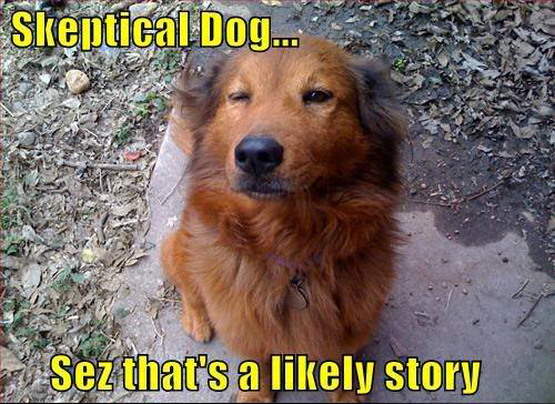 skeptical_dog.jpg